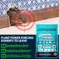 12Pack Plant - Powered Natural Mouse Repellent Pouches for Indoor Use only