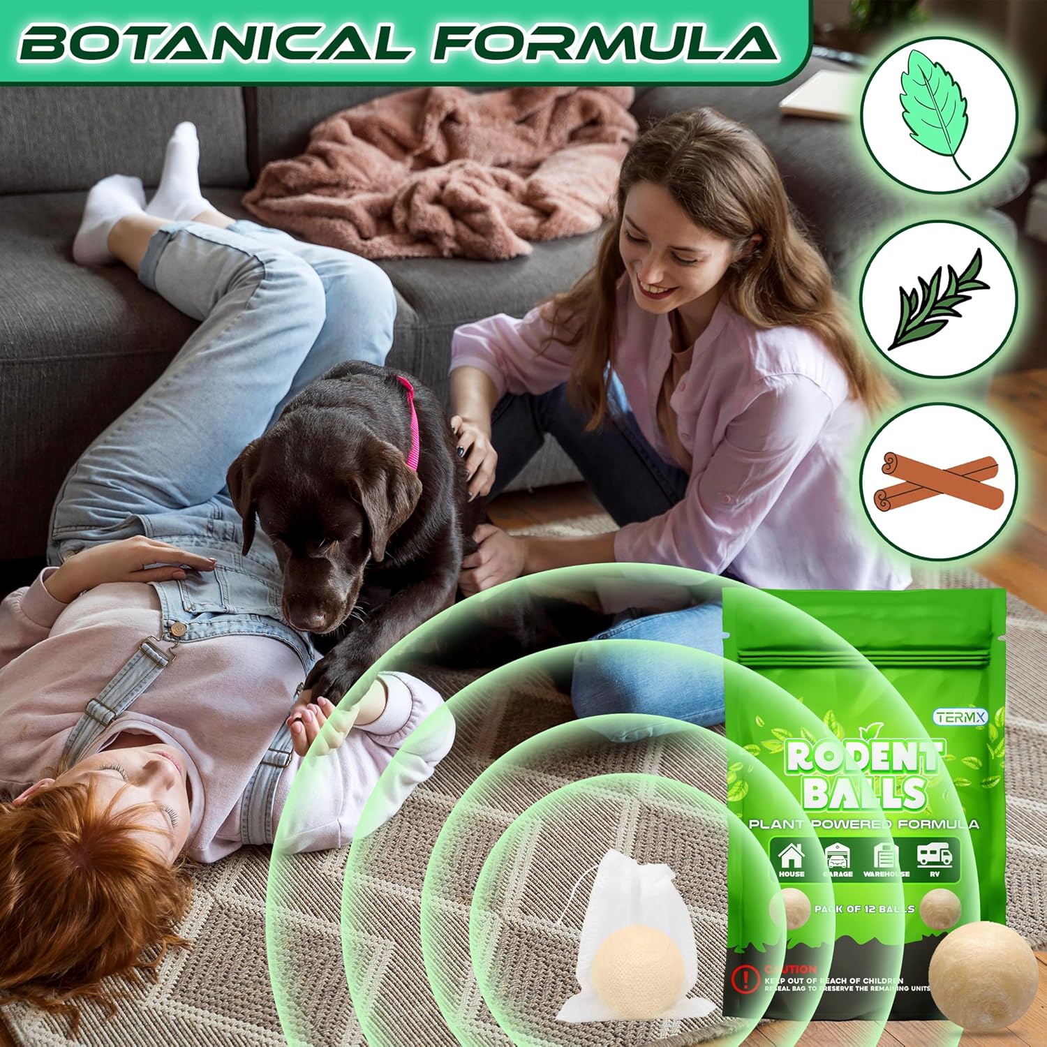 Best moth balls for rodents